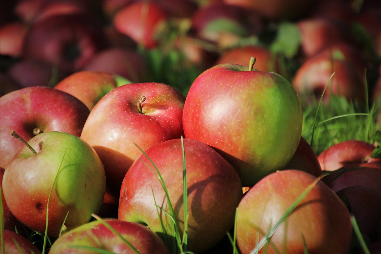 Oczyszczająca dieta jabłkowa – jak działa i jakie są jej korzyści?